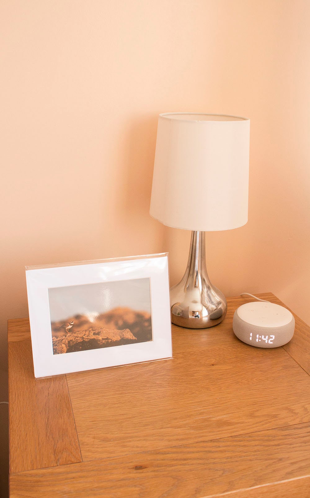 Ringed Plover Wader Mounted Photo Print - beach wildlife photography