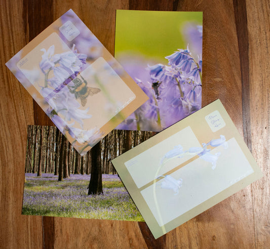 Bluebells Mixed Postcard Pack - UK wildflower photography