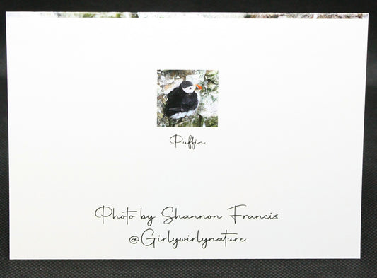 Puffin on Rock Greetings Card - Scotland wildlife photography