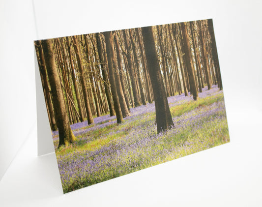 Bluebells Greetings Card - South Gloucestershire wildflower photography