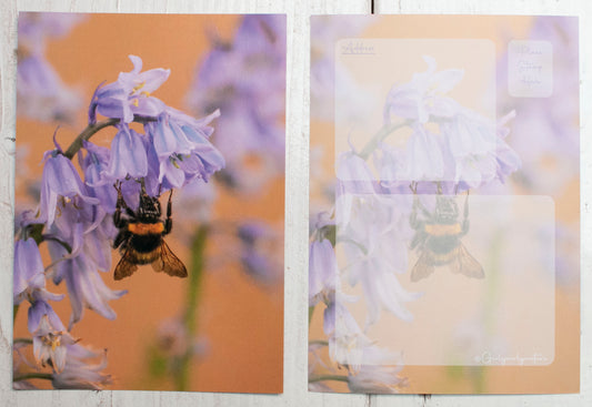 Bumblebee on Bluebell Postcard - UK wildlife photography