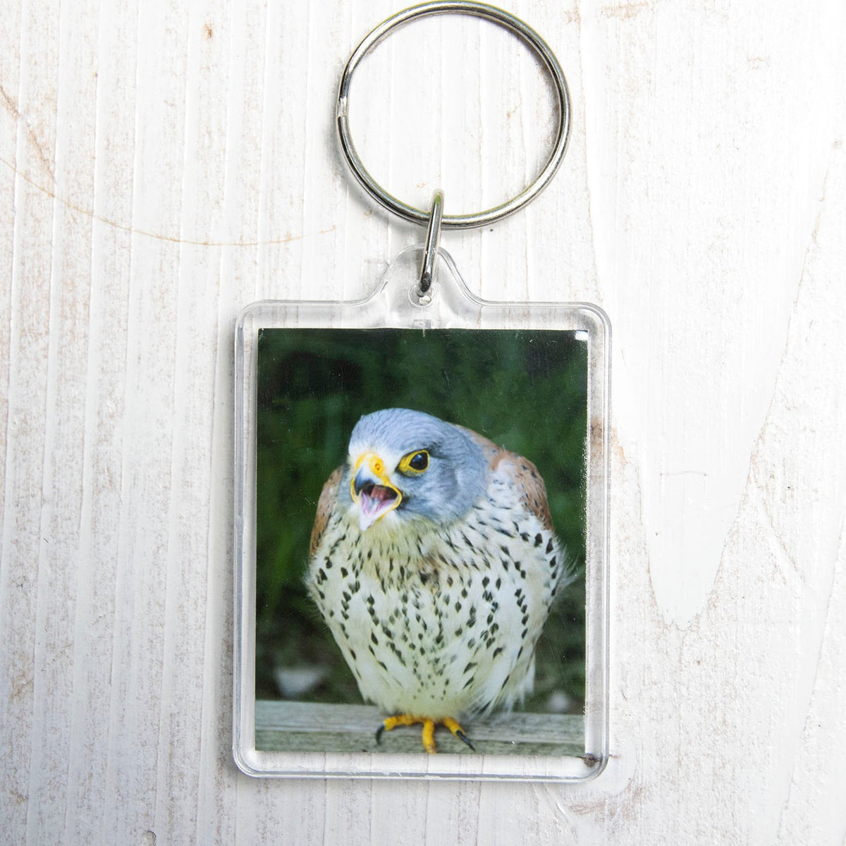 Kestrel Keyring - bird of prey wildlife photography keychain