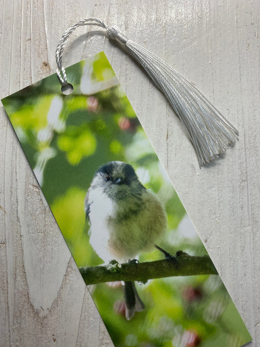 Long-Tailed Tit Bookmark - UK wildlife photography