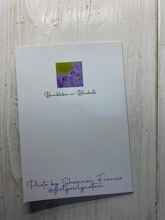 Bumblebee on Bluebells Greetings Card - Bristol wildlife photography