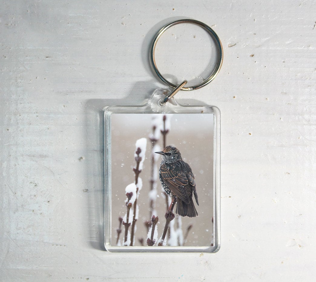 Starling in Snow Keyring - winter wildlife photography keychain