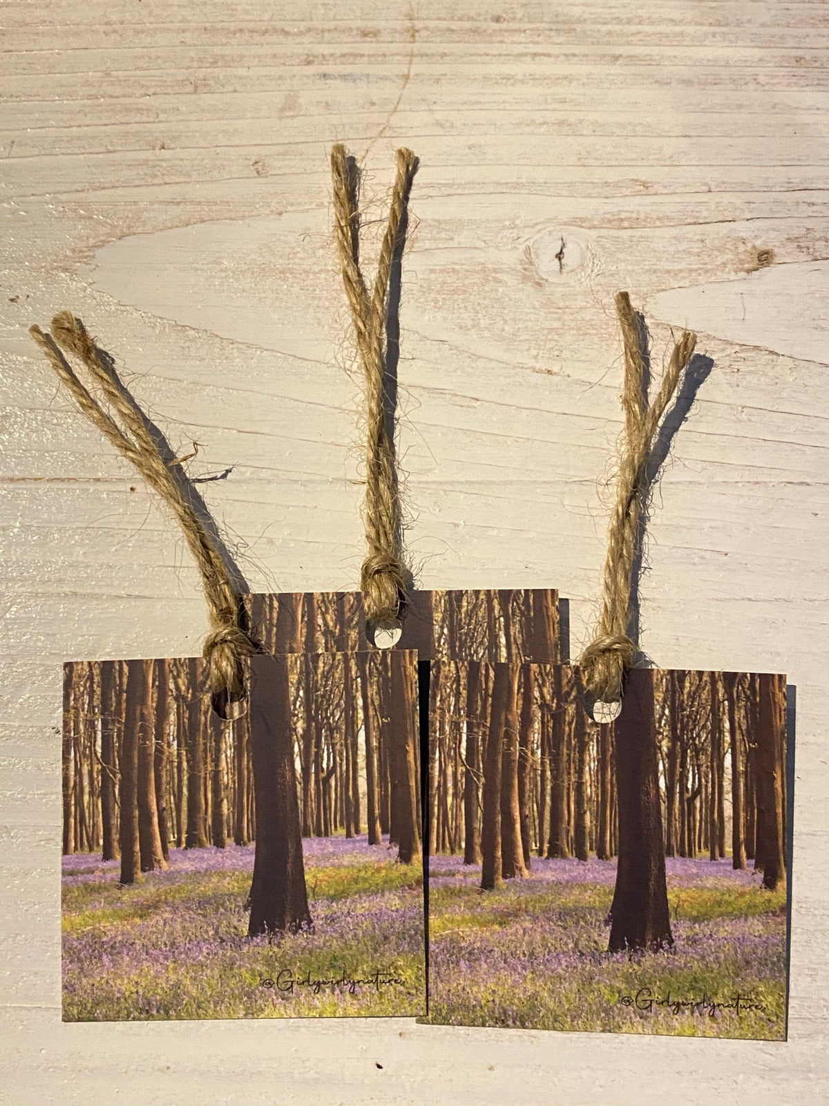 Bluebells Gift Tags - UK wildflower photography