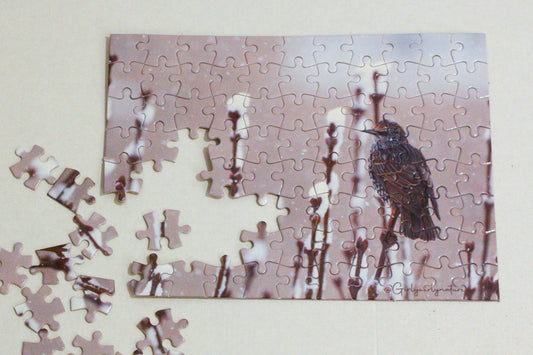 Starling in Snow Photo Puzzle - winter wildlife photography