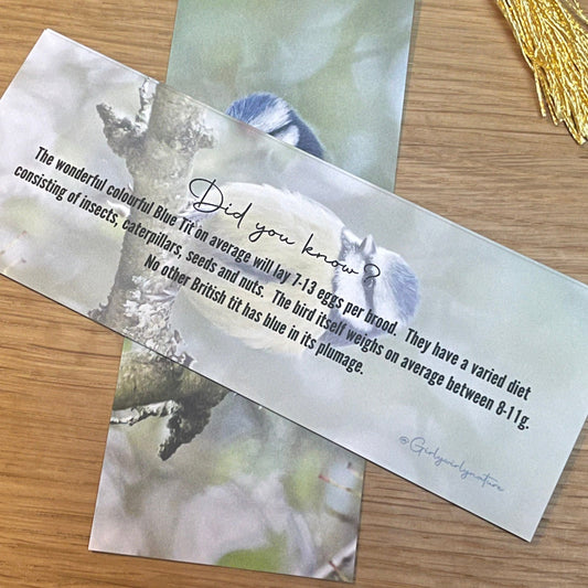 Blue Tit Bookmark - UK wildlife photography