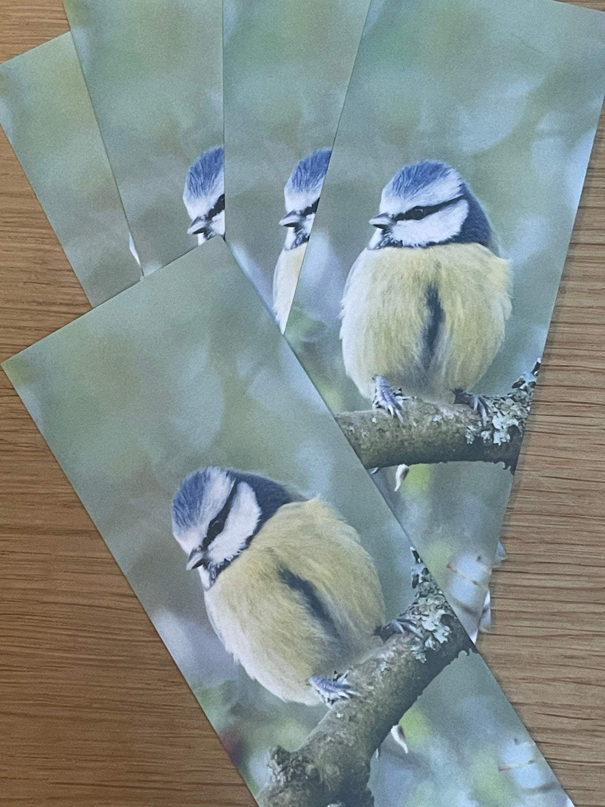 Blue Tit Bookmark - UK wildlife photography