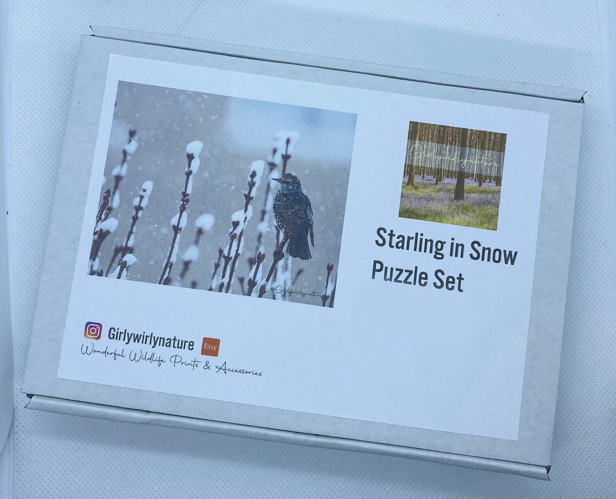 Starling in Snow Photo Puzzle - winter wildlife photography