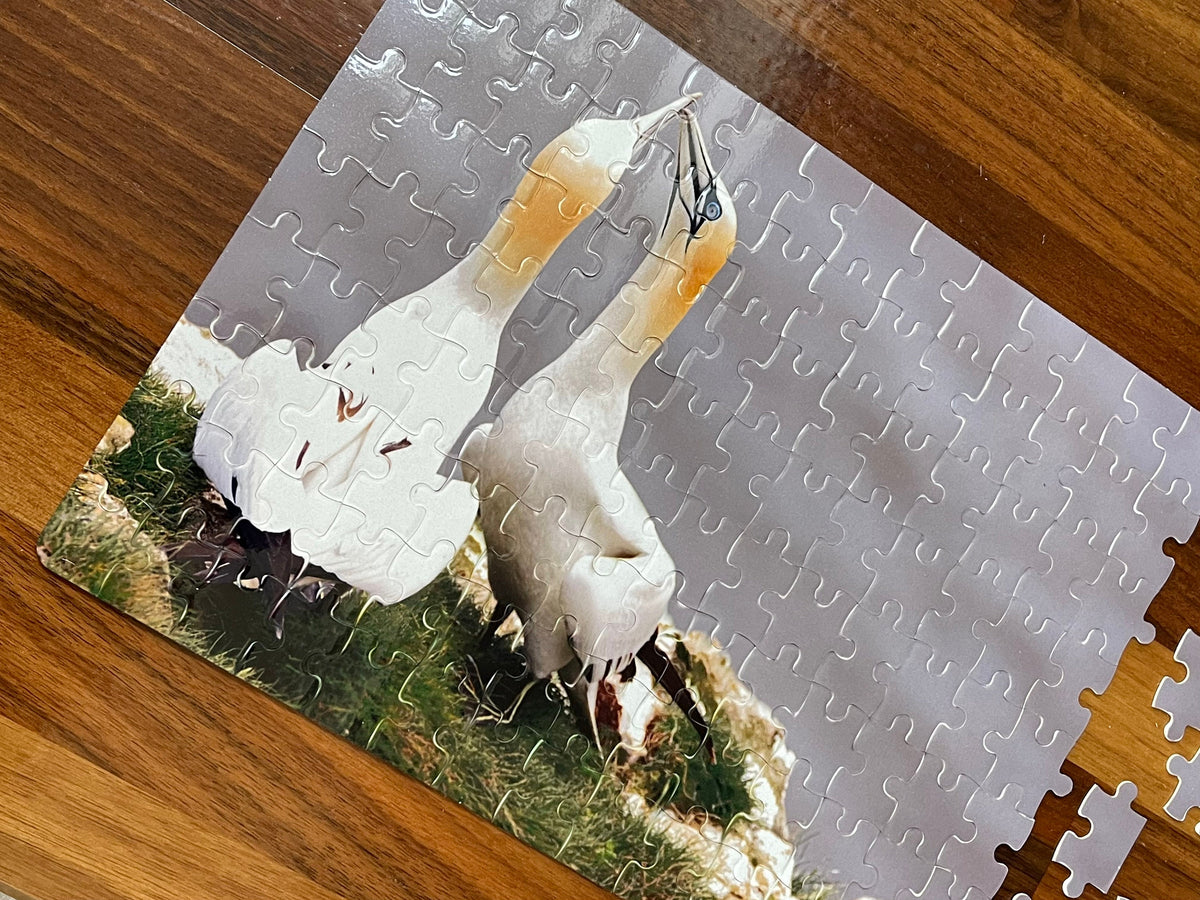 Gannets Billing Puzzle - Bempton Cliffs wildlife photography jigsaw