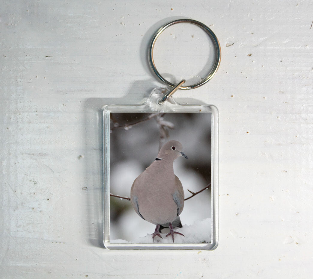 Dove in Snow Keyring - British wildlife photography