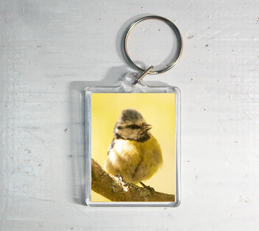 Blue Tit Keyring - British wildlife photography