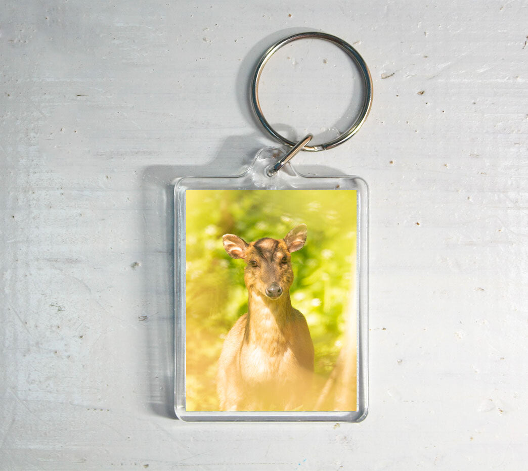 Muntjac Deer Keyring - British wildlife photography