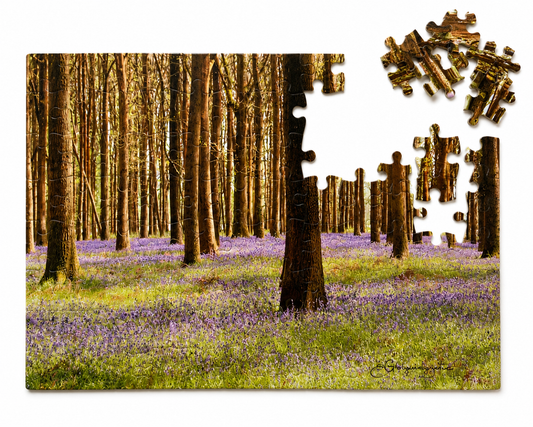 Bluebells Forest Puzzle – Woodland Nature Jigsaw