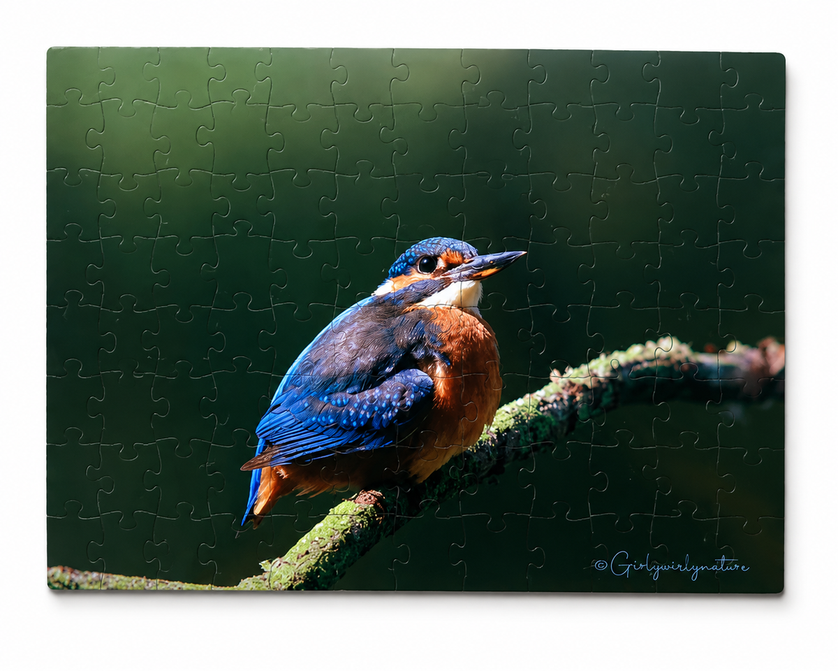 Kingfisher Photo Puzzle – Wildlife Jigsaw