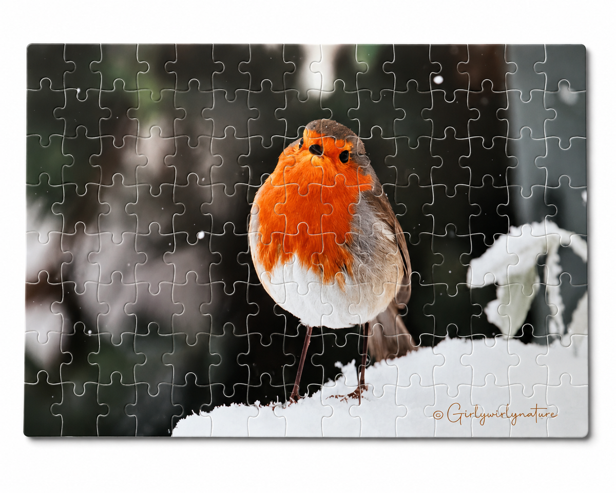 Robin in the Snow Photo Puzzle – Winter Wildlife Jigsaw