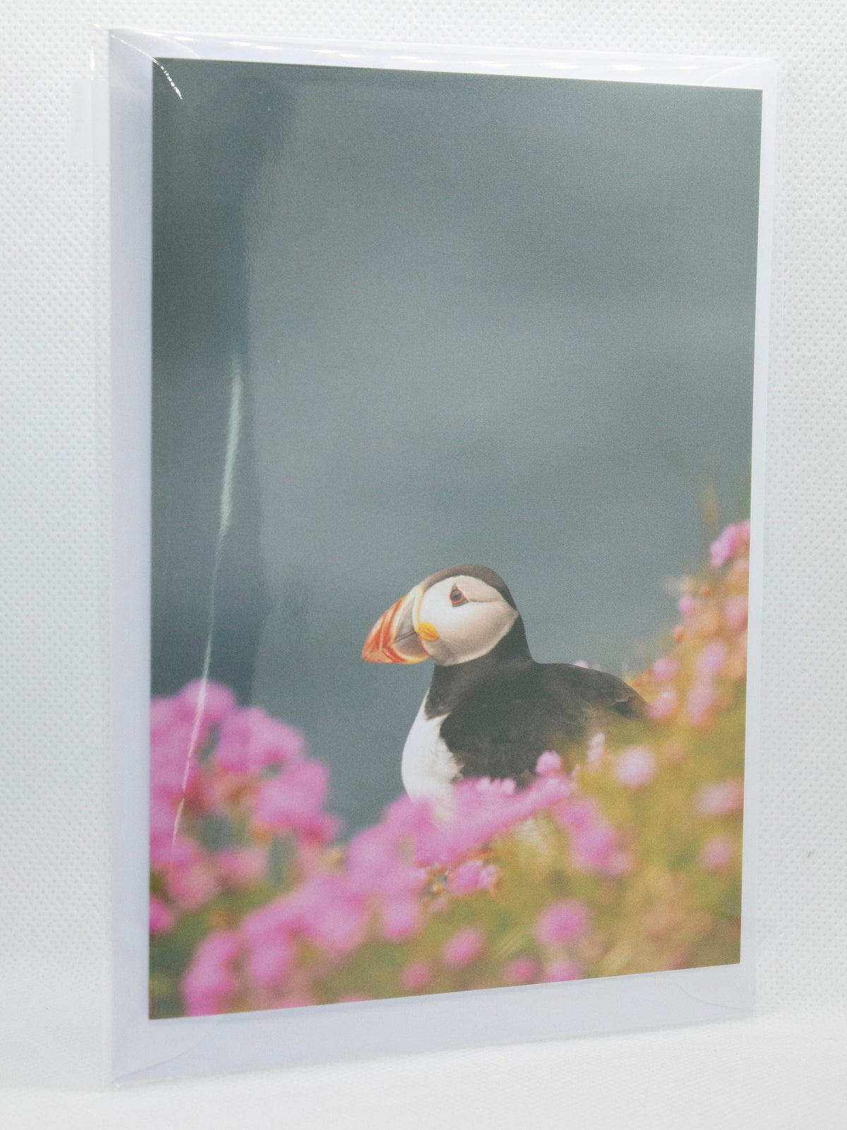 Puffin Sea Pinks Greetings Card - Scotland wildlife photography
