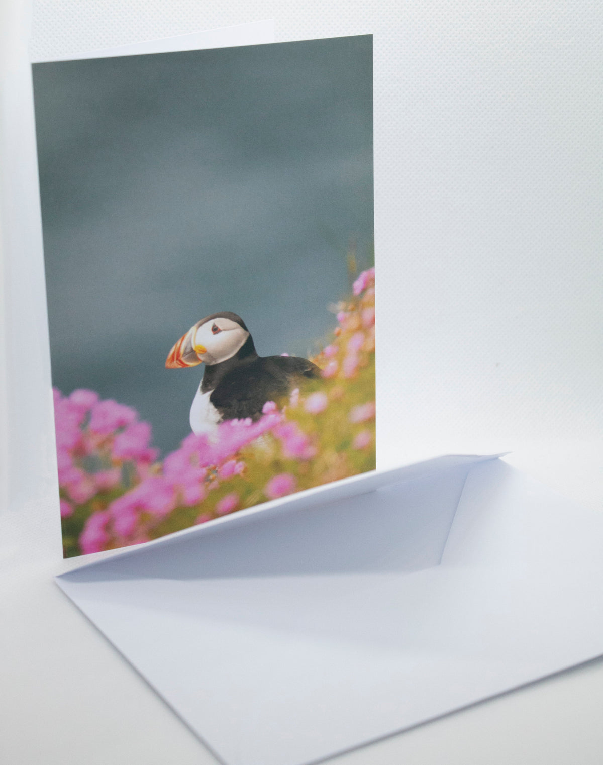 Puffin Sea Pinks Greetings Card - Scotland wildlife photography
