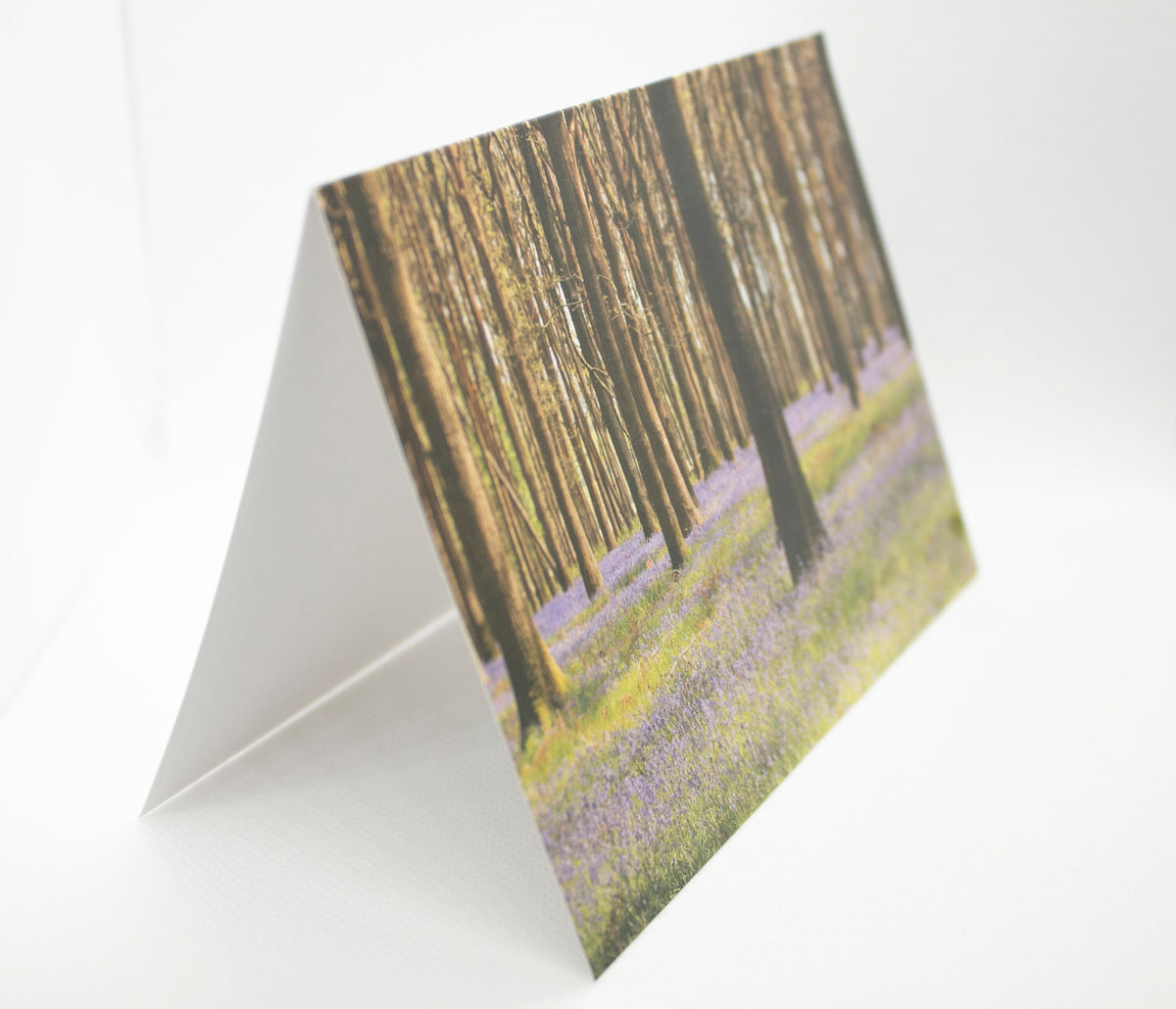 Bluebells Greetings Card - South Gloucestershire wildflower photography