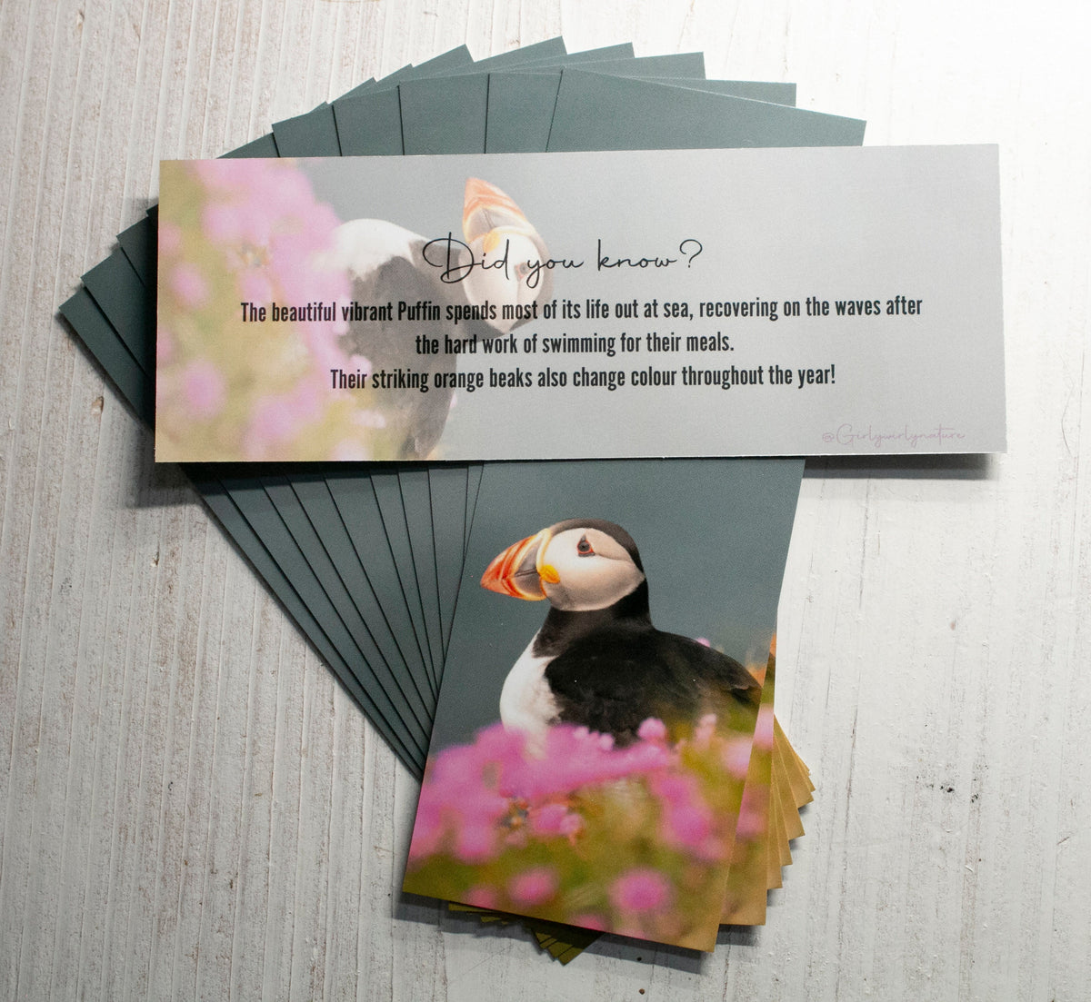 Puffin Bookmark - Sea Pinks Scotland wildlife photography