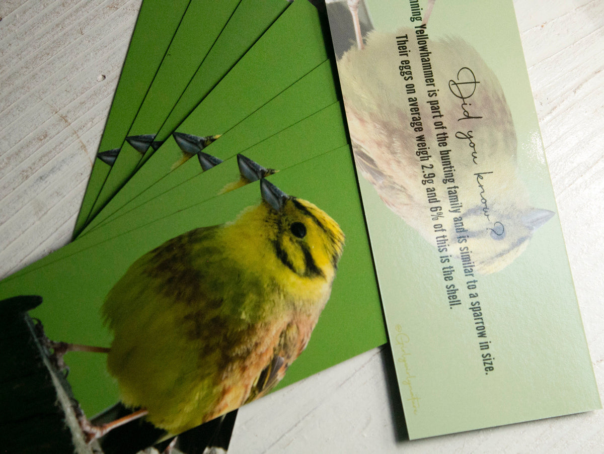 Yellowhammer Bookmark - Scotland wildlife photography