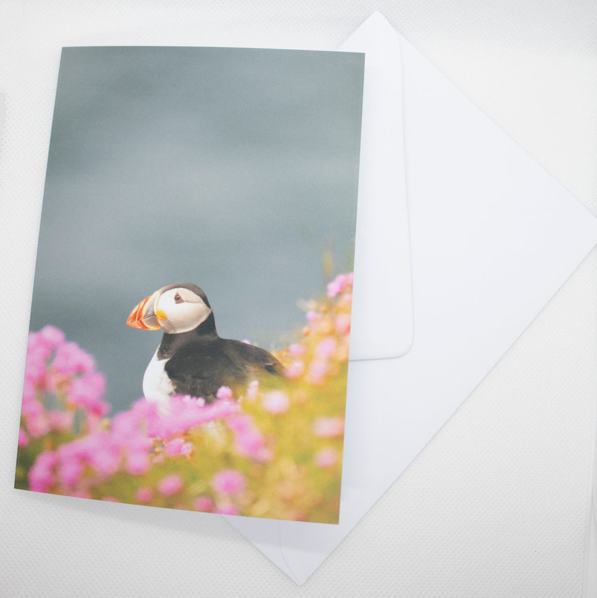 Puffin Sea Pinks Greetings Card - Scotland wildlife photography