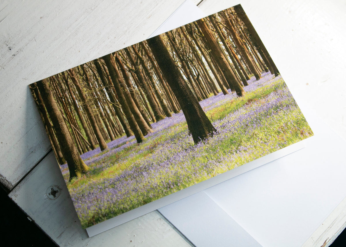 Bluebells Greetings Card - South Gloucestershire wildflower photography