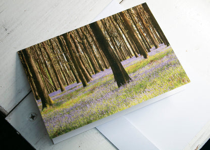 Bluebells Greetings Card - South Gloucestershire wildflower photography