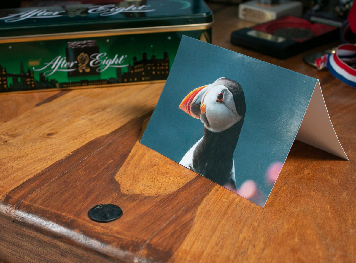 Puffin Side View Greetings Card - Scotland wildlife photography