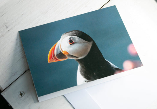 Puffin Side View Greetings Card - Scotland wildlife photography