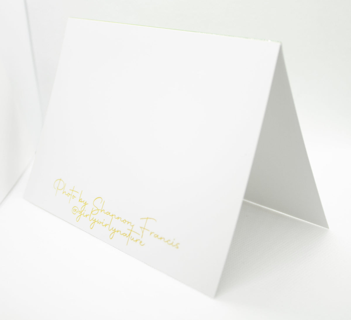 Yellowhammer Greetings Card - South Gloucestershire wildlife photography