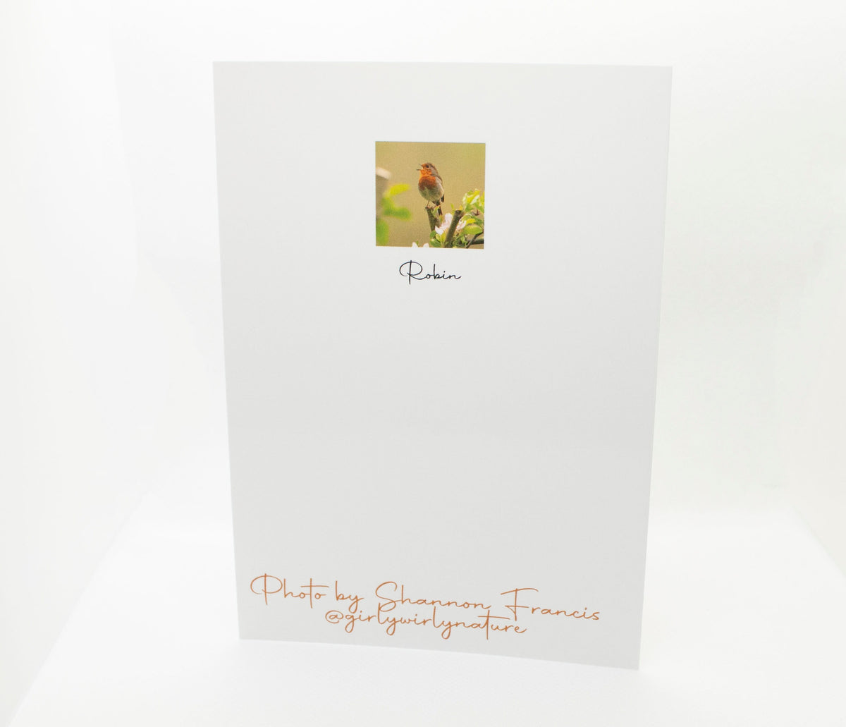 Robin Greetings Card - Bristol wildlife photography