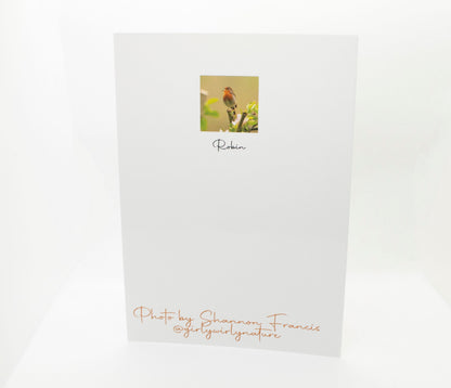 Robin Greetings Card - Bristol wildlife photography