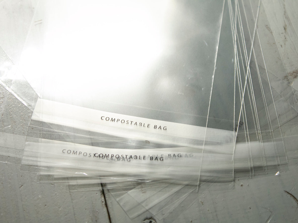 Damselfly Greetings Card - Bristol wildlife photography