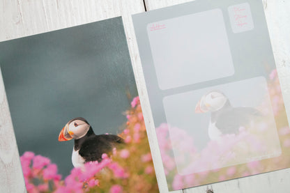 Puffin Sea Pinks Postcard - UK wildlife photography