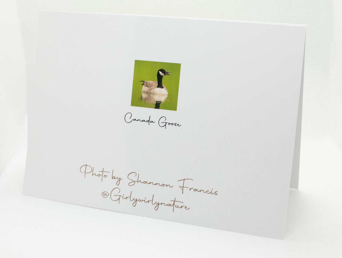 Canada Goose Greetings Card - Bristol wildlife photography