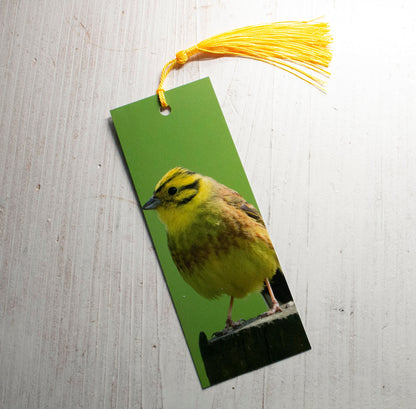 Yellowhammer Bookmark - Scotland wildlife photography