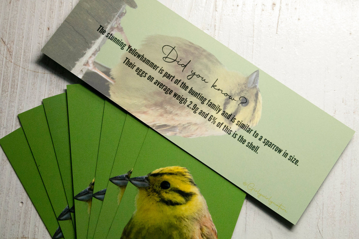 Yellowhammer Bookmark - Scotland wildlife photography