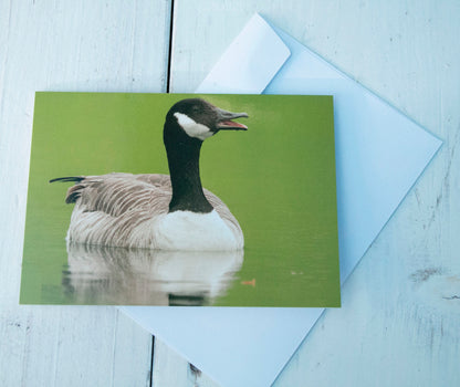 Canada Goose Greetings Card - Bristol wildlife photography