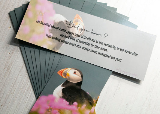 Puffin Bookmark - Sea Pinks Scotland wildlife photography