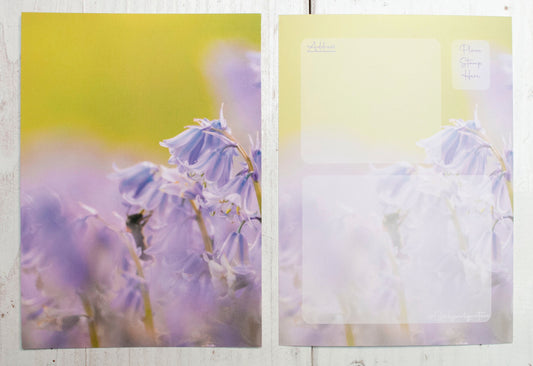 Bumblebee Postcard - UK wildlife photography