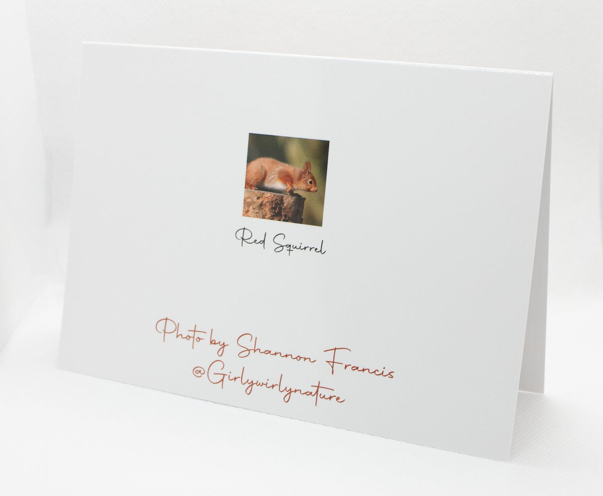 Red Squirrel Greetings Card - Dorset wildlife photography