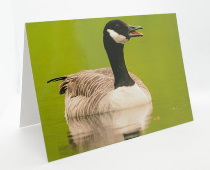 Canada Goose Greetings Card - Bristol wildlife photography