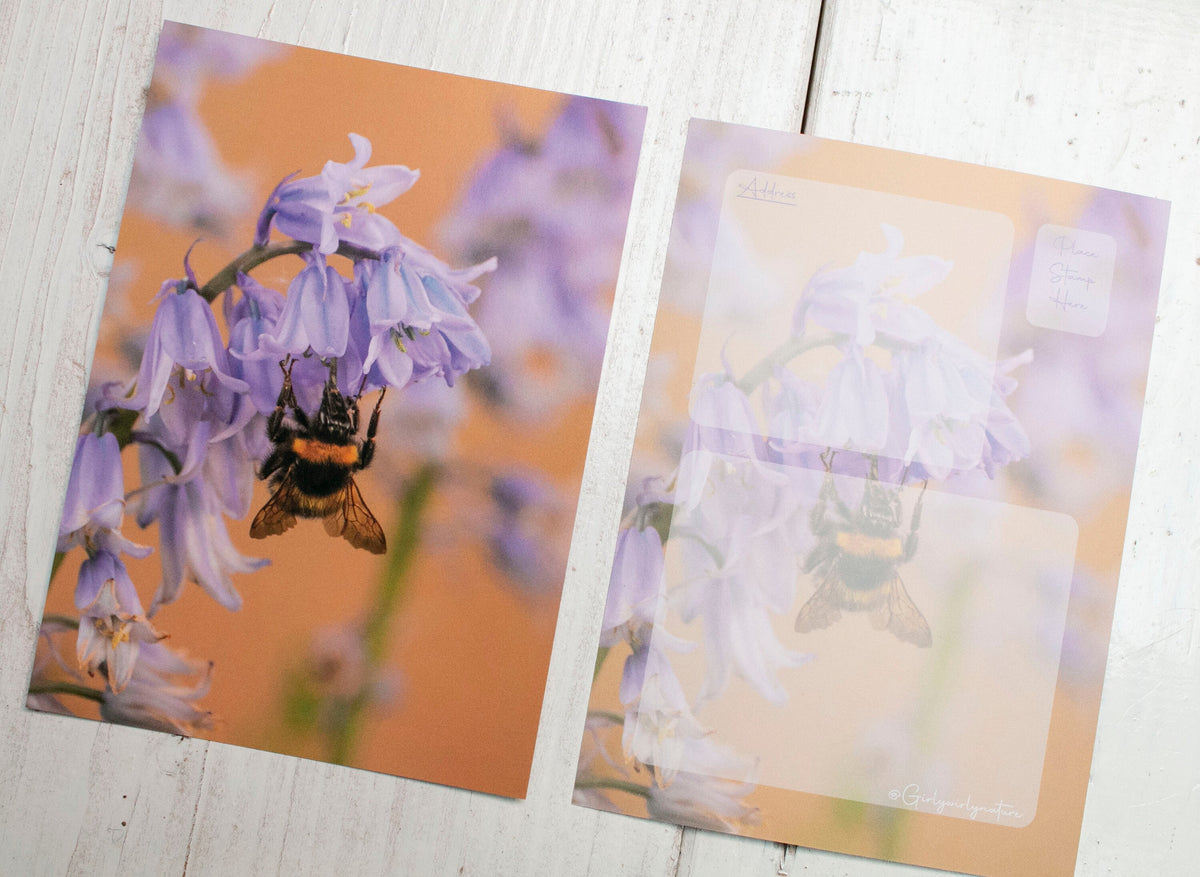 Bluebells Mixed Postcard Pack - UK wildflower photography