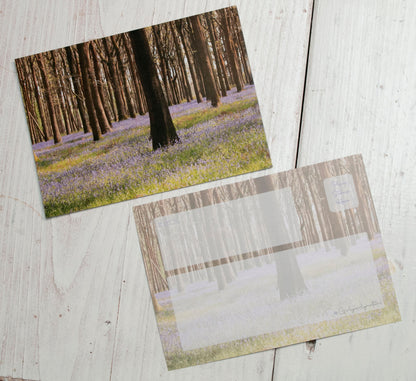 Bluebells Mixed Postcard Pack - UK wildflower photography
