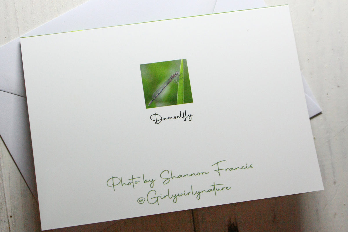 Damselfly Greetings Card - Bristol wildlife photography