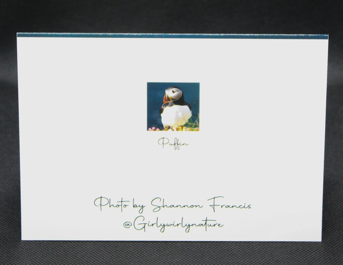 Puffin Greetings Card - Scotland wildlife photography