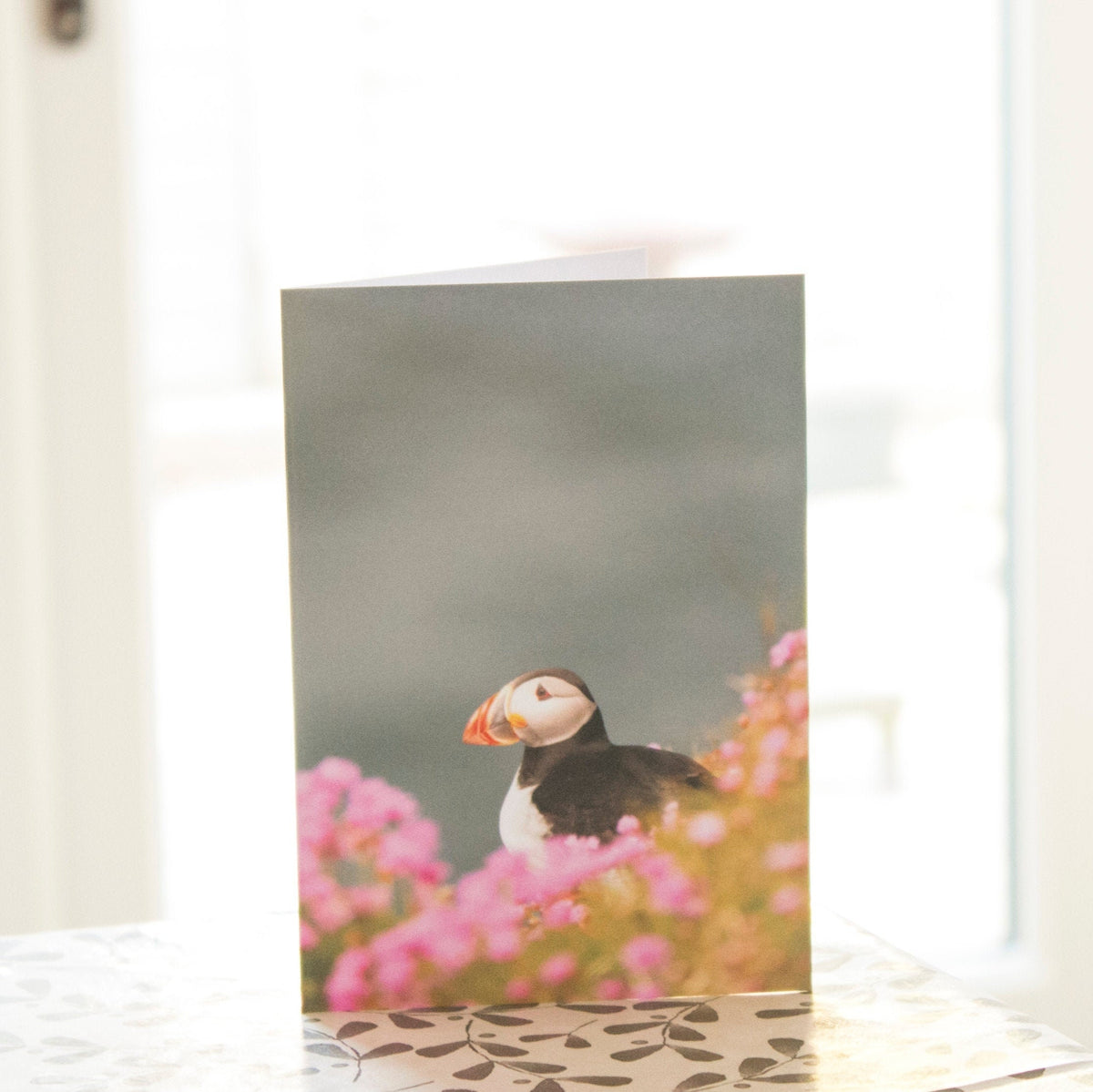 Puffin Sea Pinks Greetings Card - Scotland wildlife photography