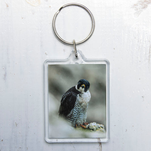 Peregrine Falcon Keyring - bird of prey wildlife photography keychain